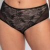 Curvy Kate Victory Allure Short Curvy Kate -Lingerie Store curvy kate victory allure short knicker locker