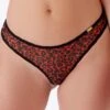 Gossard Glossies Red Leopard Thong Gossard 1 Gossard Glossies Red Leopard Thong Gossard -Lingerie Store gossard glossies leopard red thong knicker locker
