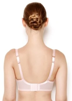 Lingerie Store -Lingerie Store katherine hamilton nina rose bra back